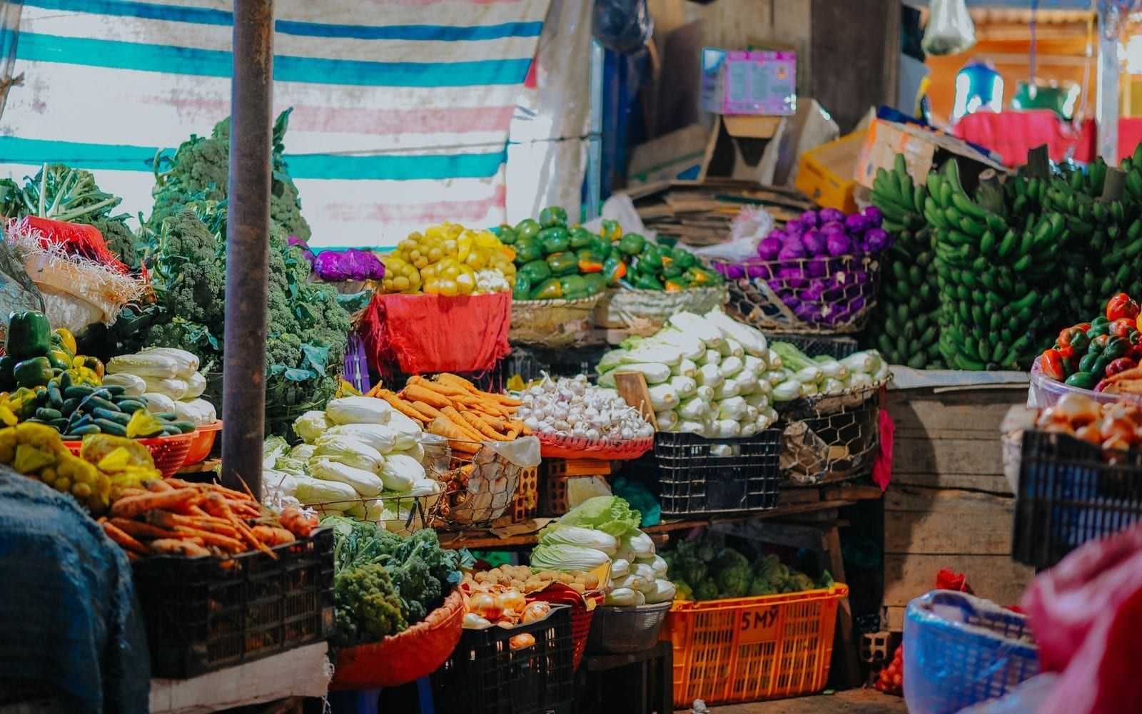 A market stall piled with fresh vegetables